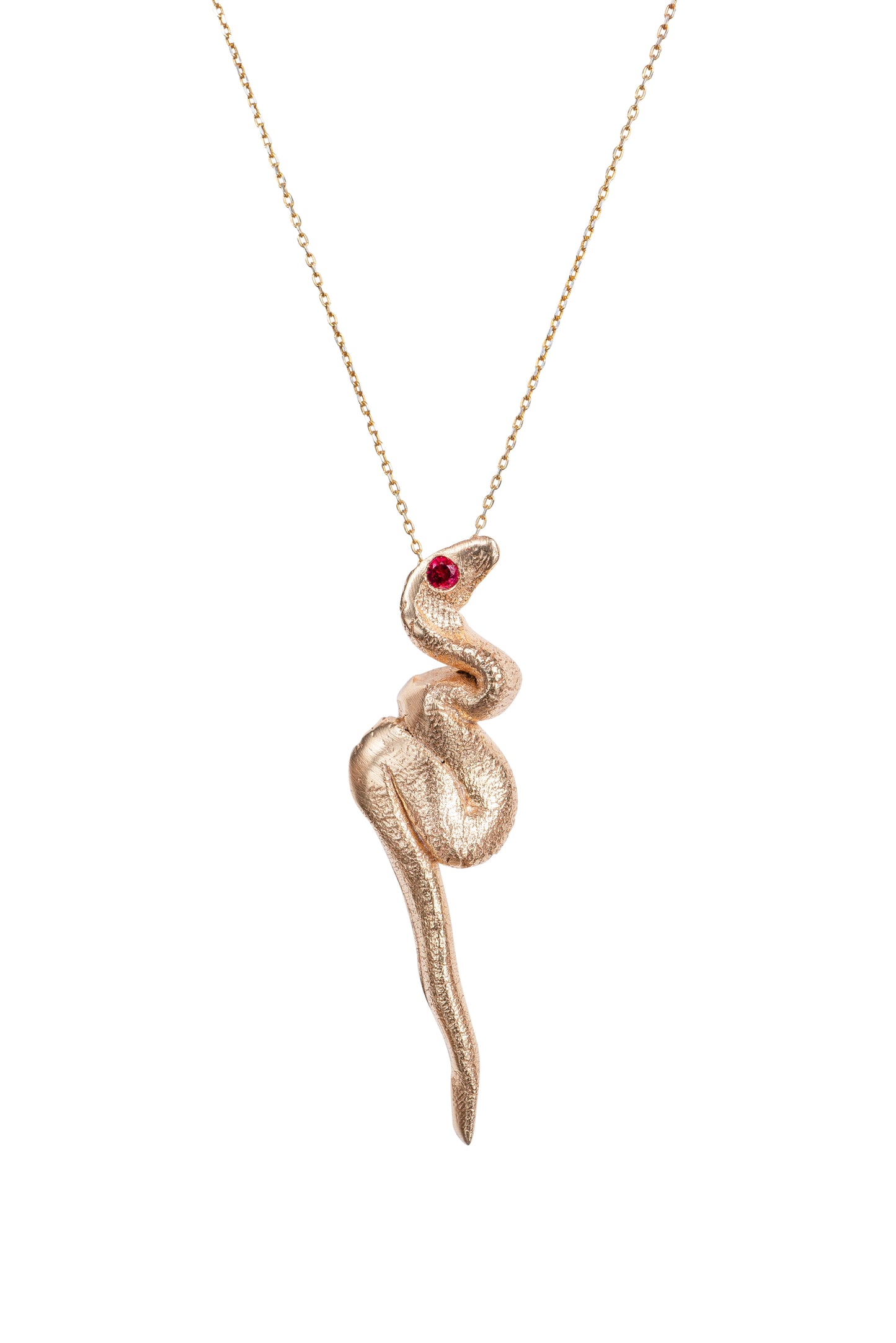 Snake Charm Pendant